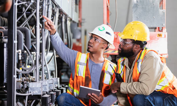 Best Electric Panel Repair  in Hutchinson, MN